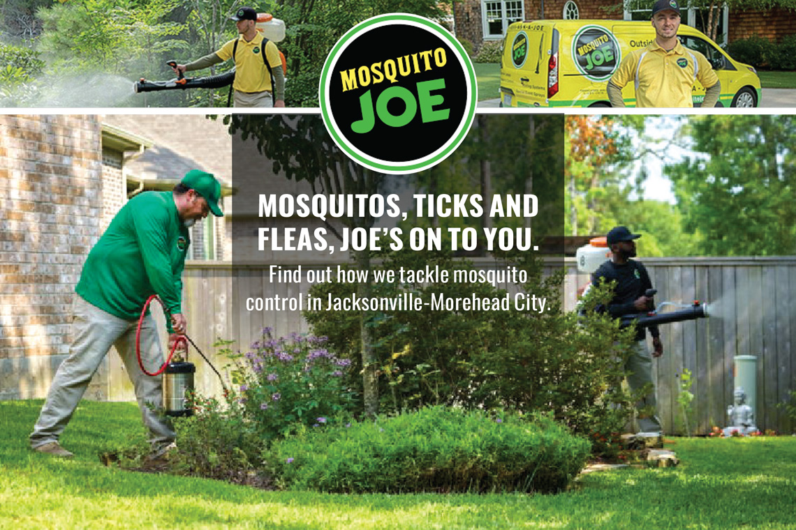 Mosquito Joe - Morehead.com