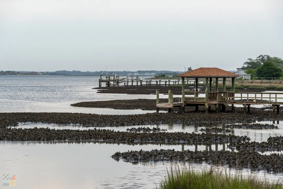 Privacy Policy - Morehead.com