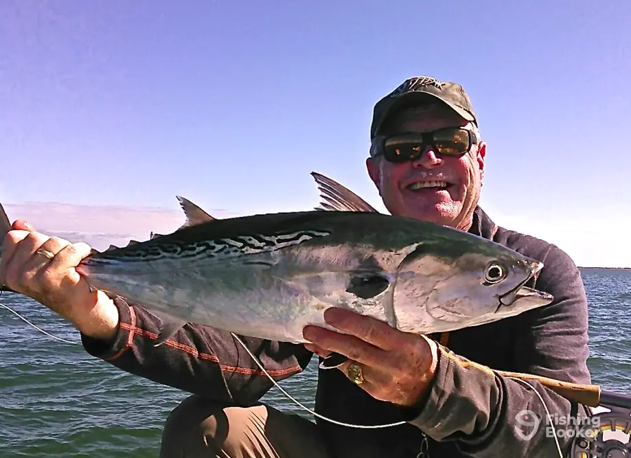 Flying Fish Charters charter image 3
