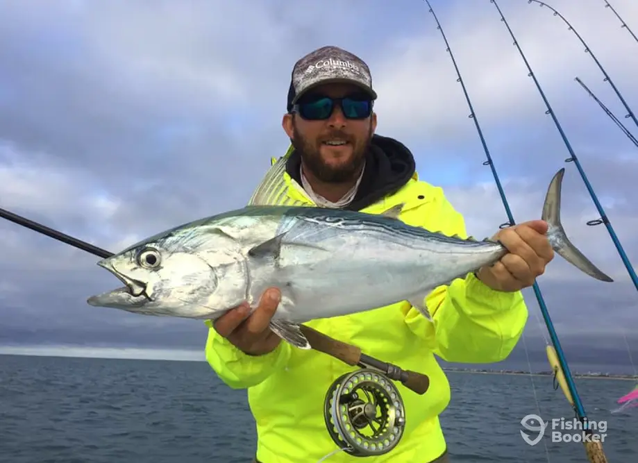 Fish Insight Guide Service charter image 4