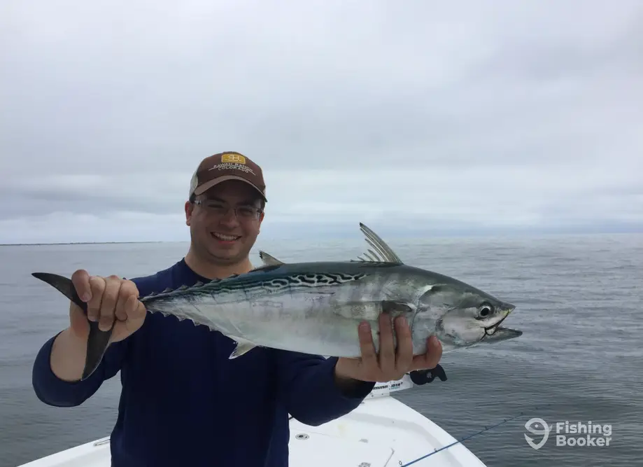 Fish Insight Guide Service charter image 5