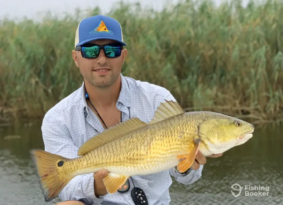 Run-n-Gun Inshore Fishing Charters charter image 6