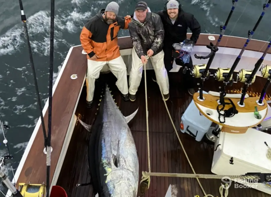 Reel E Bugging charter image 3