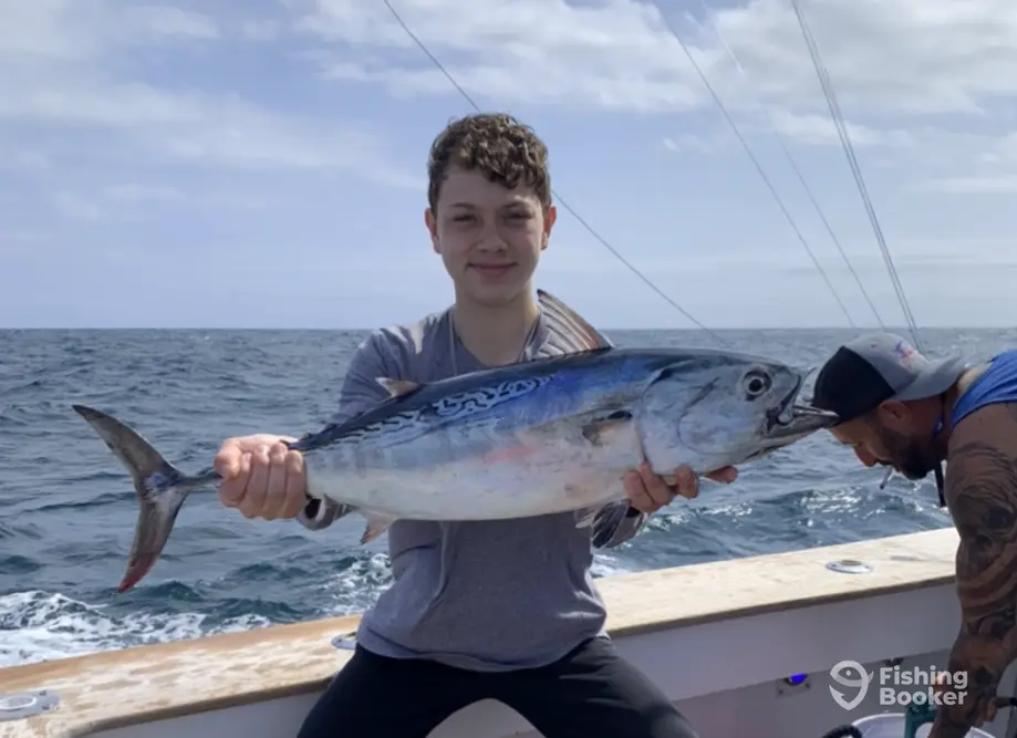 Reel E Bugging charter image 4