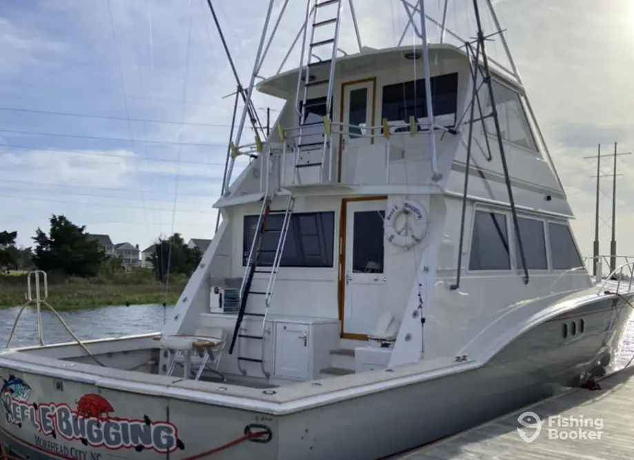 Reel E Bugging charter image 6