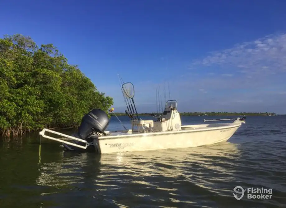 Bogue Sound Charters – Emerald Isle charter image 6