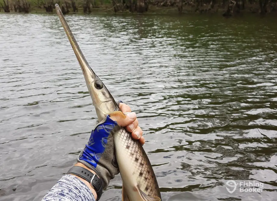Live Outdoors Adventures charter image 3