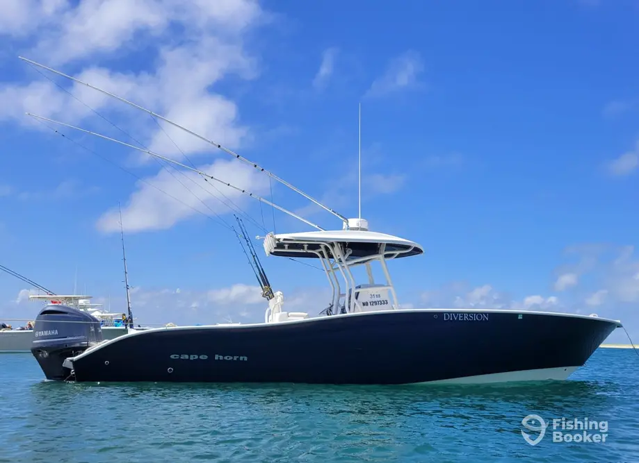 Diversion Fishing Charters charter image 5