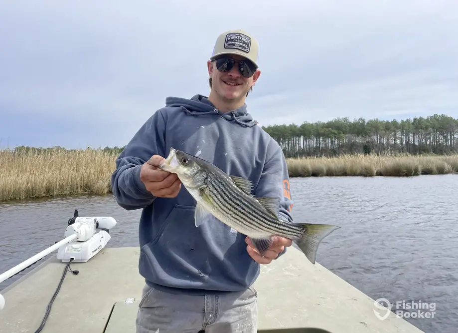 Grady Buoys Guide Service, LLC – New Bern charter image 5
